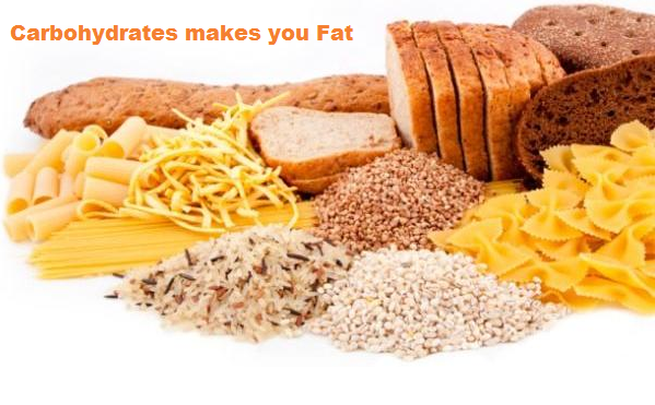 Carbohydrates makes you Fat